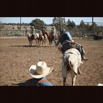 Man In Cowboy Hat Watching Cowboys On Horses GIF