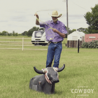 Man In Cowboy Hat With Bull Ultimate Cowboy Showdown GIF