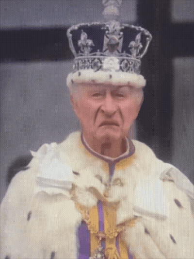 Man In Crown And Purple Yellow Robe GIF