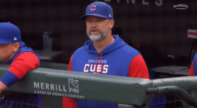 Man in Cubs Jersey in Dugout