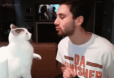 Man In Da Finisher Shirt Kissing Cat GIF