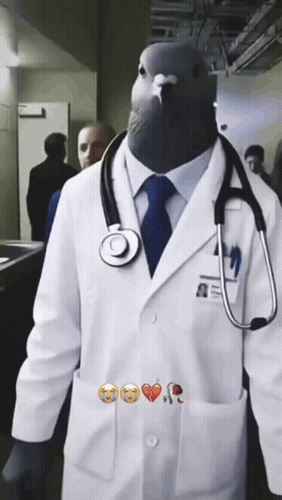 Man In Doctor Costume With Pigeon On Head GIF