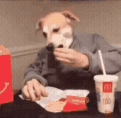 Man In Dog Mask Eating McDonald's Meal GIF