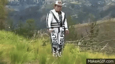 Man In Dolphin Outfit Standing In Field GIF