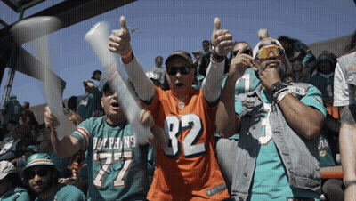 Man In Dolphins Jersey Says We're Going To The Superbowl GIF