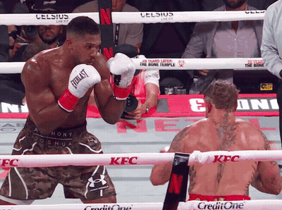 Man In Everlast Boxing Gloves In Ring GIF