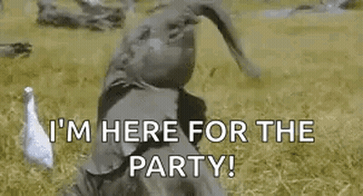 Man In Field With Duck Says I'm Here For The Party GIF