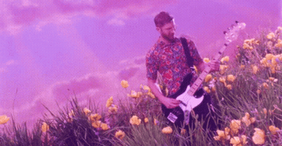 Man In Floral Shirt Playing Guitar In Flower Field GIF