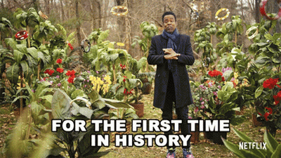 Man In Flower Garden Netflix GIF