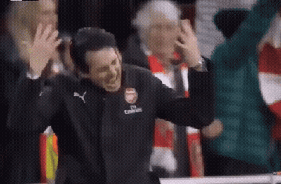 Man In Fly Emirates Jacket Before Crowd GIF