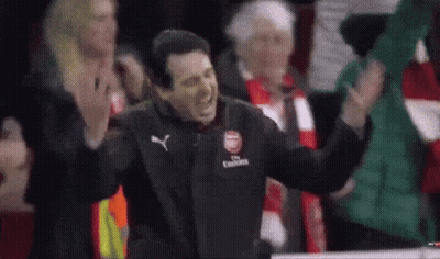 Man In Fly Emirates Jacket Standing In Front Of Crowd GIF