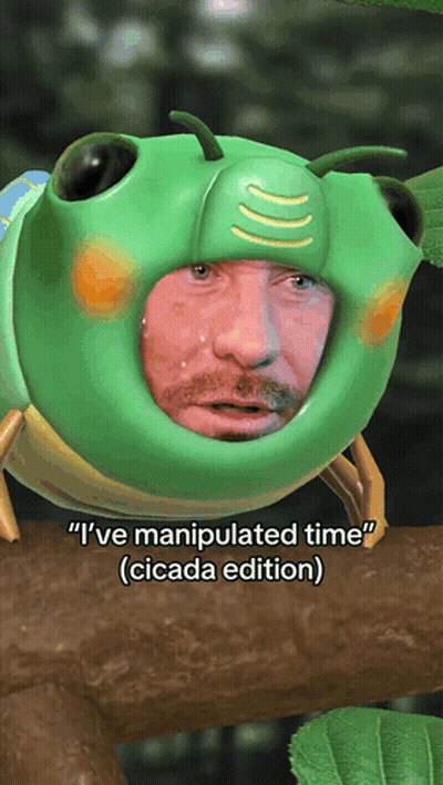 Man In Frog Costume Saying I Manipulated Time GIF