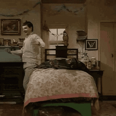 Man In Front Of Bed With Owl GIF