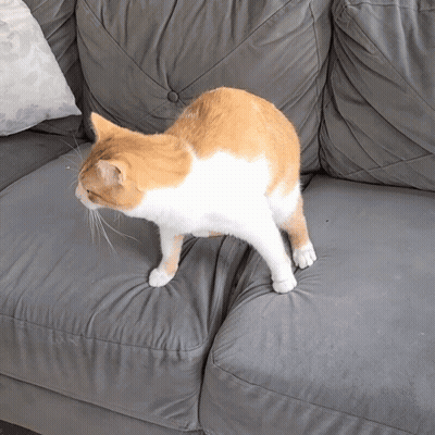Man In Front Of Less Talk More Action Poster GIF