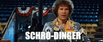 Man In Front Of Microphone Schro-Dinger GIF