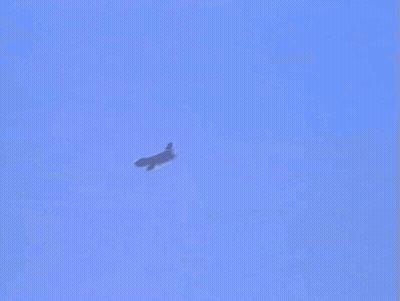 Man In Front Of Plane 403 GIF