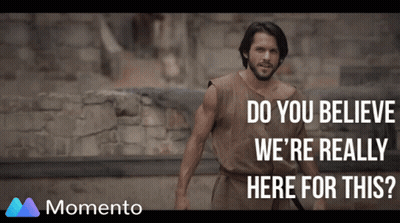 Man In Front Of Stone Wall Saying Do You Believe We're Really Here For This GIF
