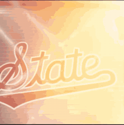 Man In Front Of Wall Saying State GIF