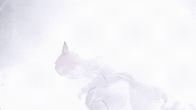 Man In Fur Coat Holding Sword GIF