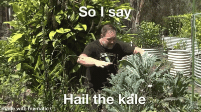 Man In Garden Saying Hail Kale GIF