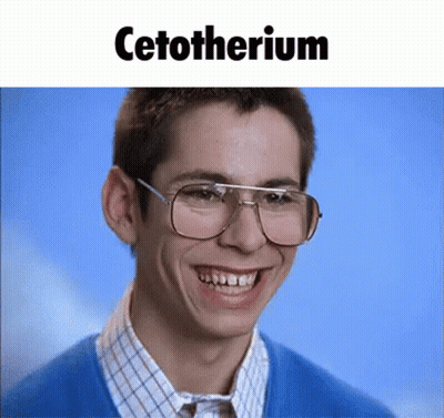 Man In Glasses And Blue Sweater Smiling With Cetotherium GIF