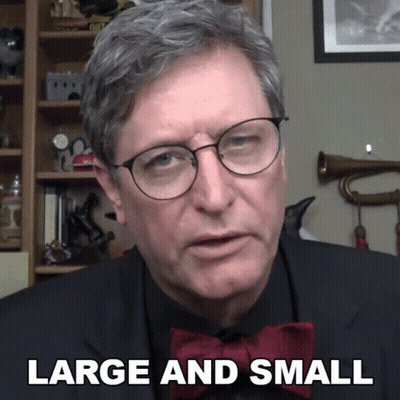 Man In Glasses And Bow Tie With Large And Small On Face GIF