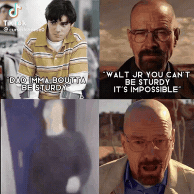 Man In Glasses And Plaid Shirt Username Xx_mrwhite26311 GIF