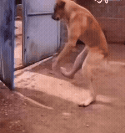 Man In Glasses And Tie With Great Miracles And Wonders GIF