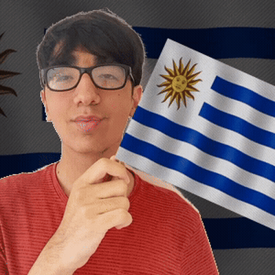 Man In Glasses Holding Flag With Smiling Sun GIF