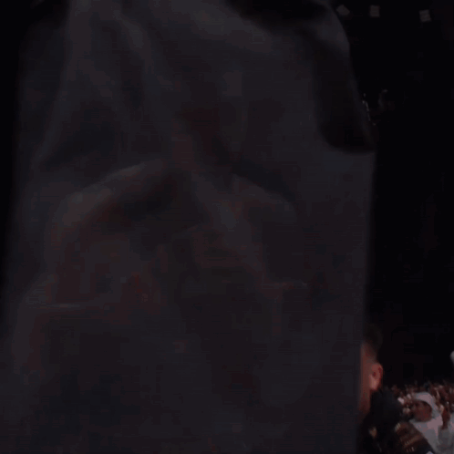 Man In Gold UFC Gloves Before Crowd GIF
