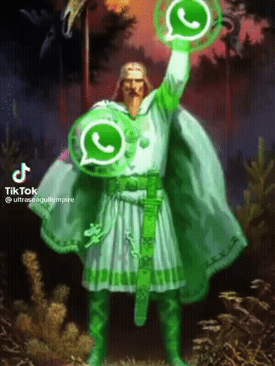 Man In Green Cape Holding WhatsApp Icons GIF