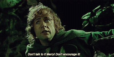 Man In Green Cape Says Don't Talk To It Merry Don't Encourage It GIF