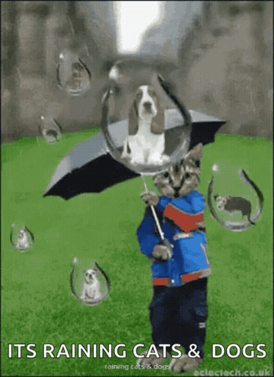 Man In Green Elf Costume Standing With Mouth Open GIF