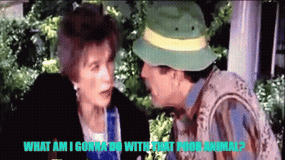 Man In Green Hat Talking To Woman With Caption What Am I Gonna Do With That Poor Animal GIF