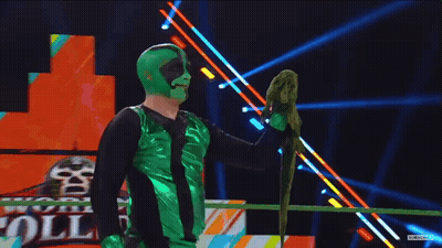 Man In Green Mask Holding Parrot GIF