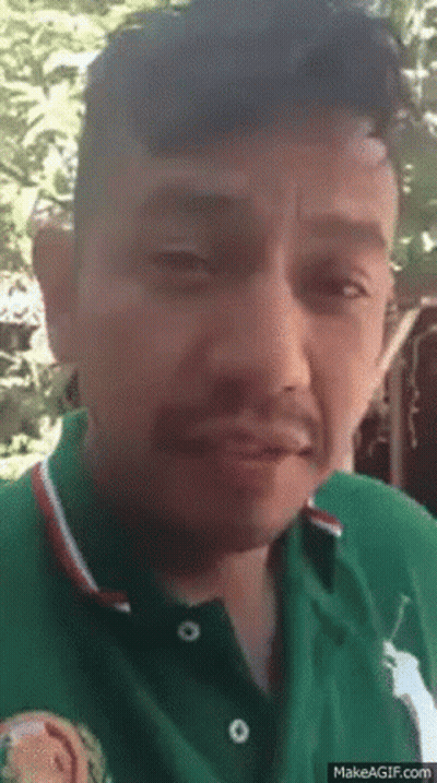 Man In Green Polo Shirt With White Horse GIF