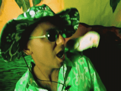 Man In Green Shirt And Cowboy Hat Saying Hawaii GIF