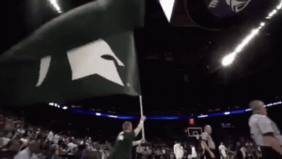 Man In Green Shirt Holding Spartan Flag GIF