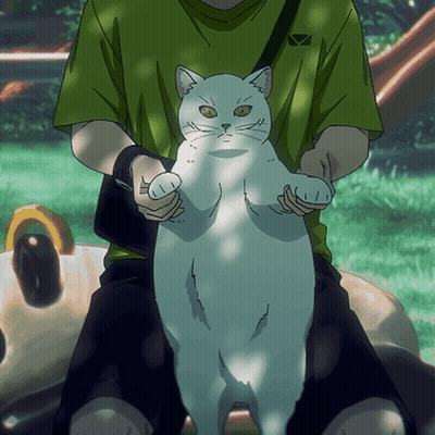 Man In Green Shirt Holding White Cat GIF