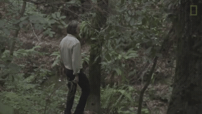 Man In Green Shirt Walking Through Dark Forest At Night GIF