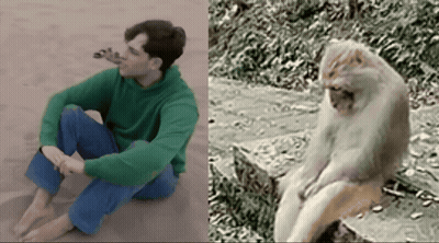 Man In Green Sweater Next To Monkey GIF
