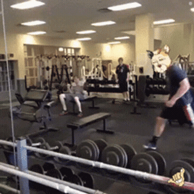 Man In Gym With Tiger Mask On Head GIF