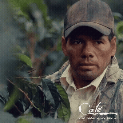 Man In Hat And Plaid Jacket Saying Cafe GIF