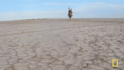 Man In Hat Dancing GIF