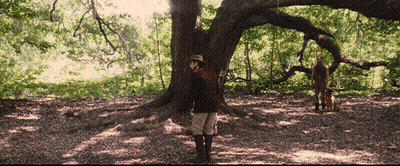 Man In Hat Next To Tree In Forest GIF