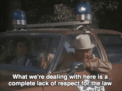 Man In Hat Police Car Says What We're Dealing With GIF