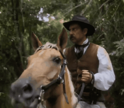 Man In Hat Riding Horse In Woods GIF