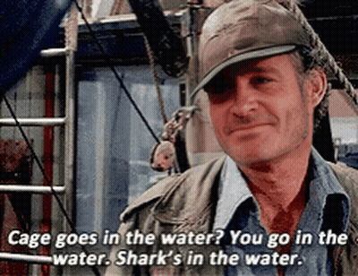 Man In Hat Says Cage Goes In Water Sharks GIF
