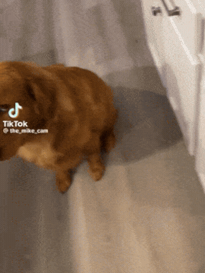 Man In Hat Says I'm Not Supposed To Get Grease On It GIF