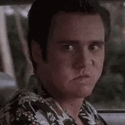 Man In Hawaiian Shirt In Back Seat GIF